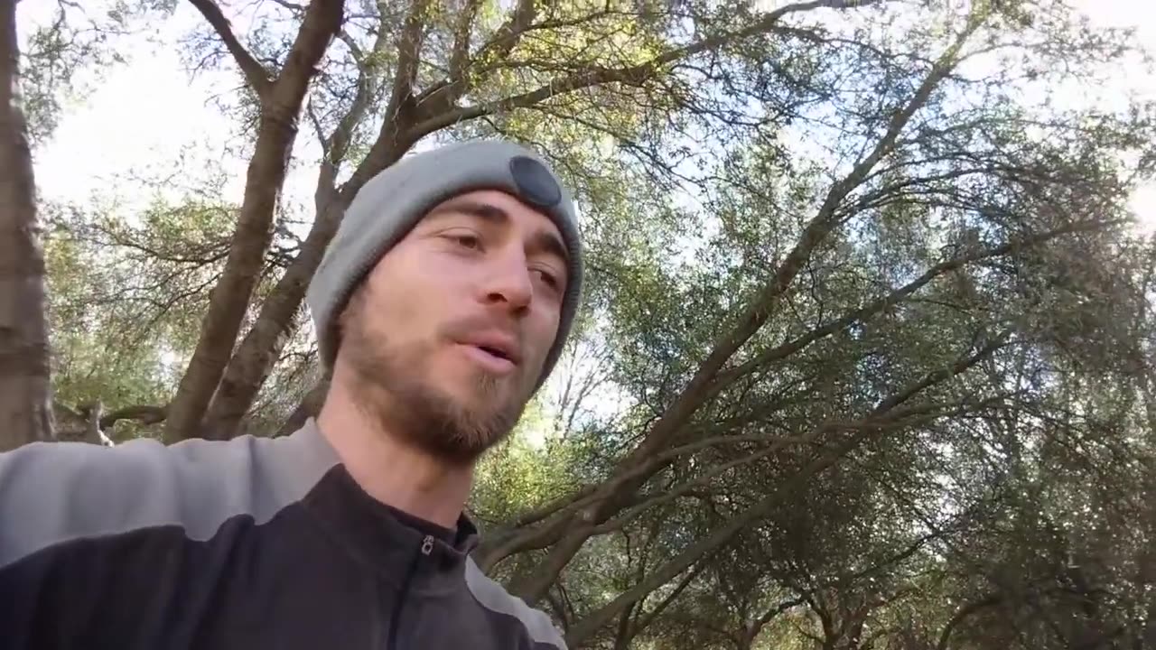 Bart Kay Has A Monarch MK Ultra Butterfly Logo