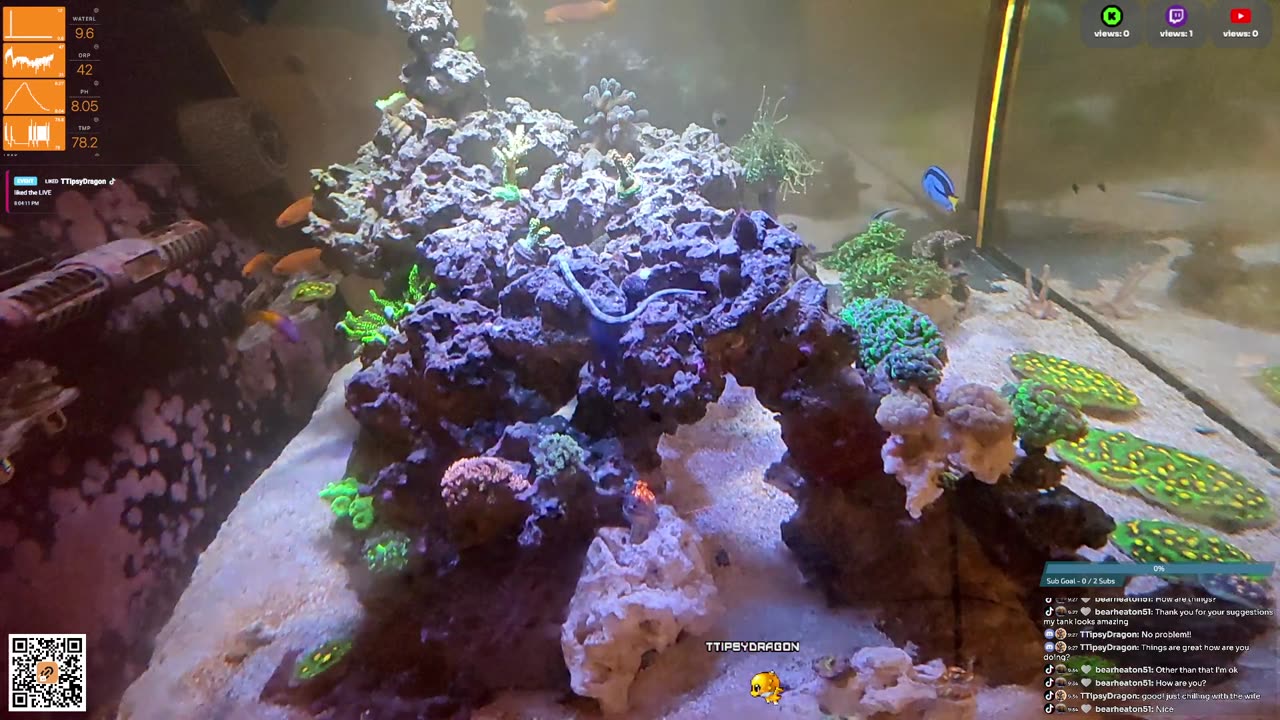 24/7 Real Live Reef Stream