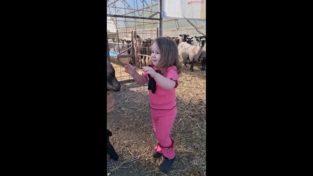 बुयुटीफुल विडिओ