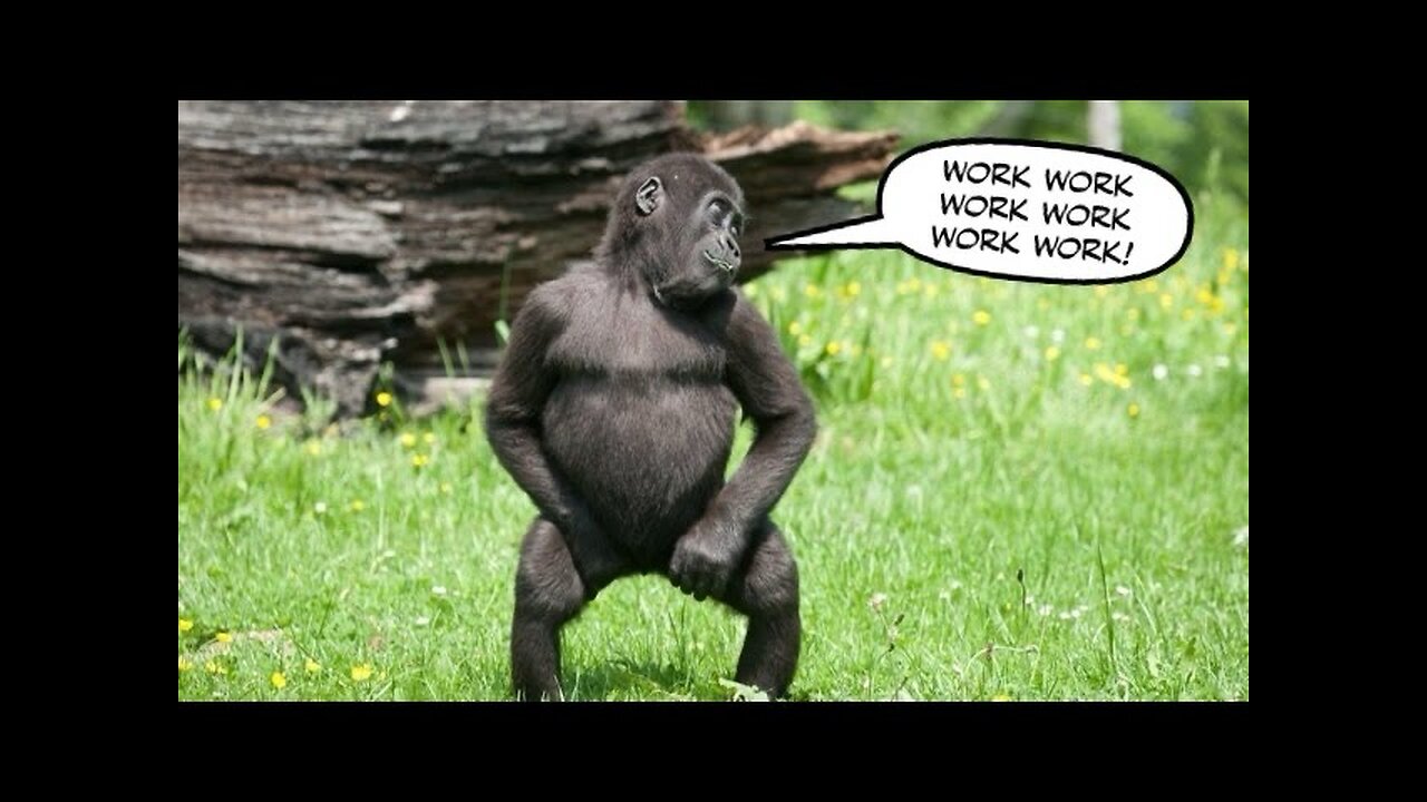 Monkey gets FREAKY 🥵