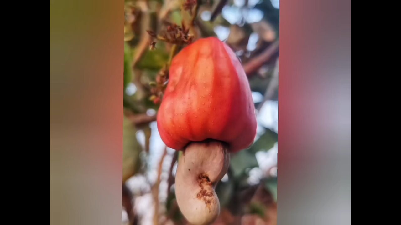 *ಮನೆಯ ಮುಂಭಾಗದಲ್ಲಿ ಅಸಾಧಾರಣವಾದ ಆಕರ್ಷಣೆಯ ಸೃಷ್ಟಿ