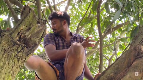 আম চোর || Am Chor || Shanto Islam || Rasel Hassan || Bangla Funny Video