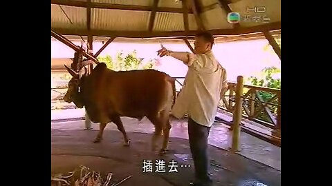 餐餐渣流灘 ( 勁粗口 ! 慎入 ) _ 17-JUNE-2025 _ 夾撚夠未呀吊你！PART 42