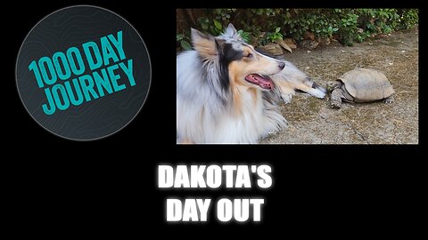 1000 Day Journey 0746 Dakota's Day Out