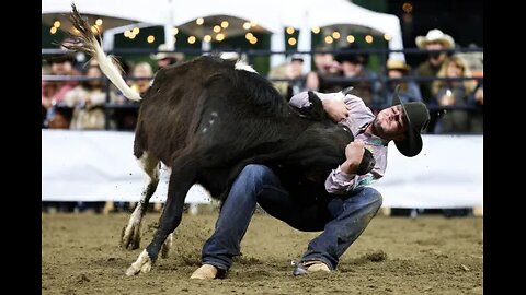 Animal sports banning campaigns are not effective enough