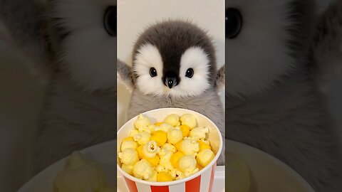 Having popcorn with bubble milk tea is just pure bliss!