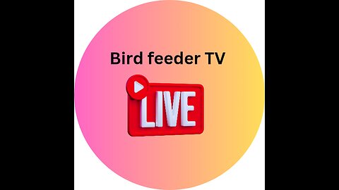 Bird feeder TV live stream