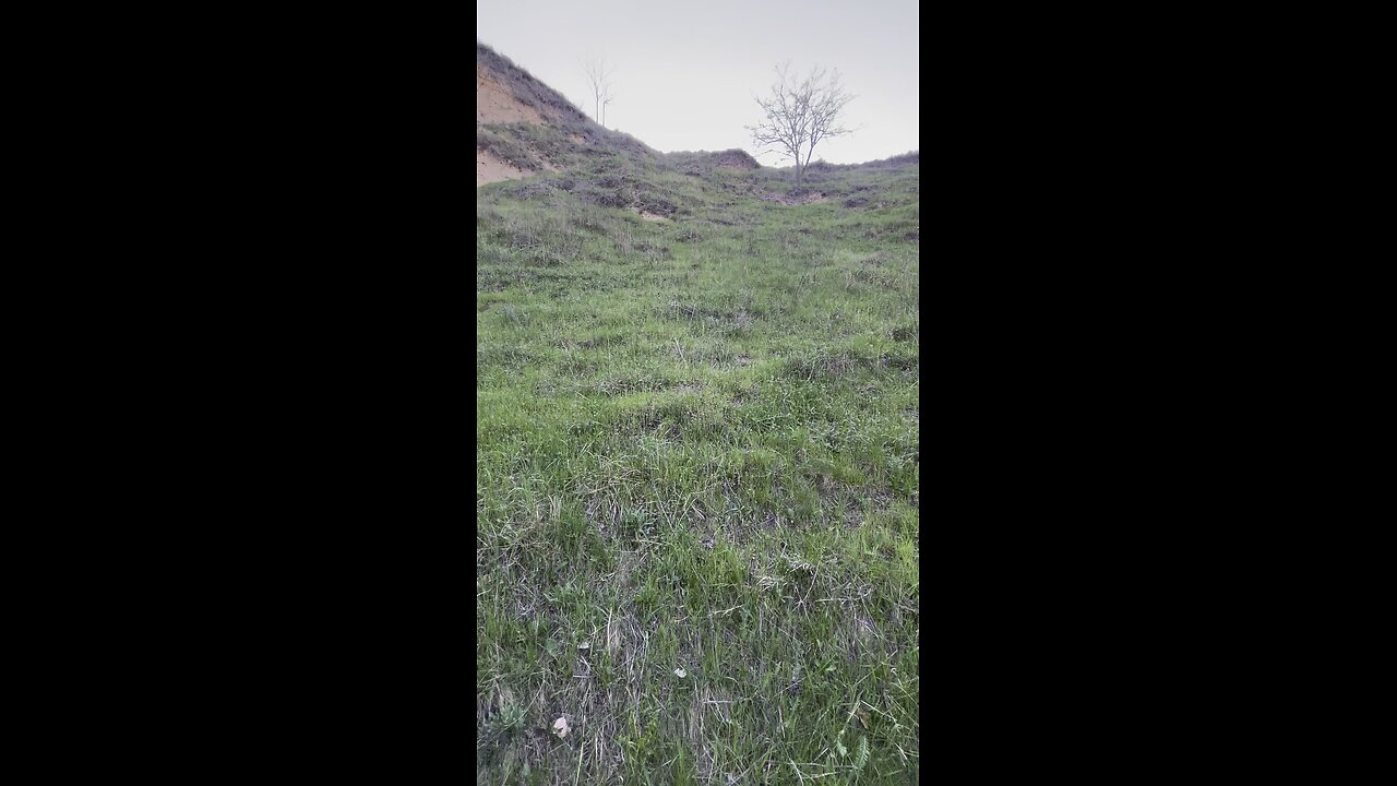 Ravines and the Heart