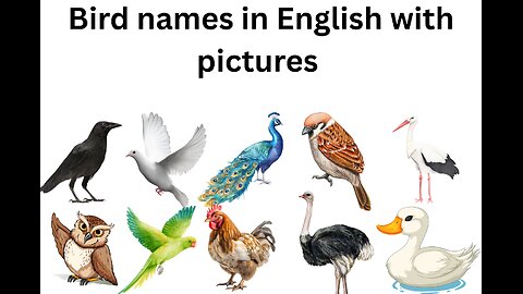 Birds names in english with pictures