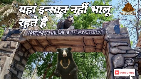 Ratan Mahal Sanctuary | Untouched Forest & Sloth Bears