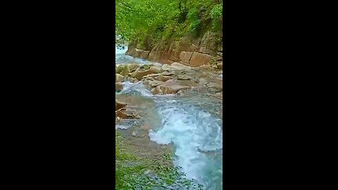 Beautiful Quran Recitation 🌟 | Reflective Moments