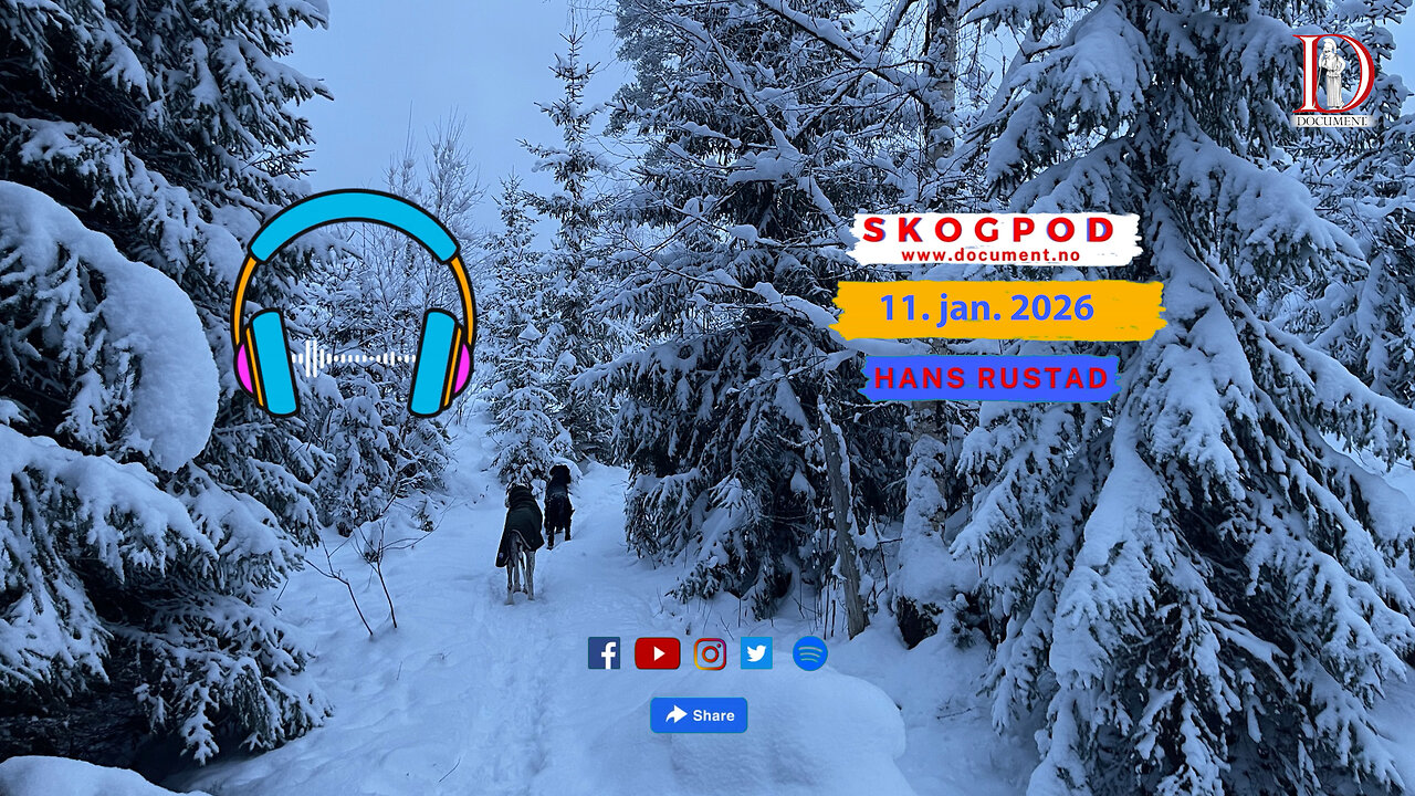 Skogpod 11. januar 2026