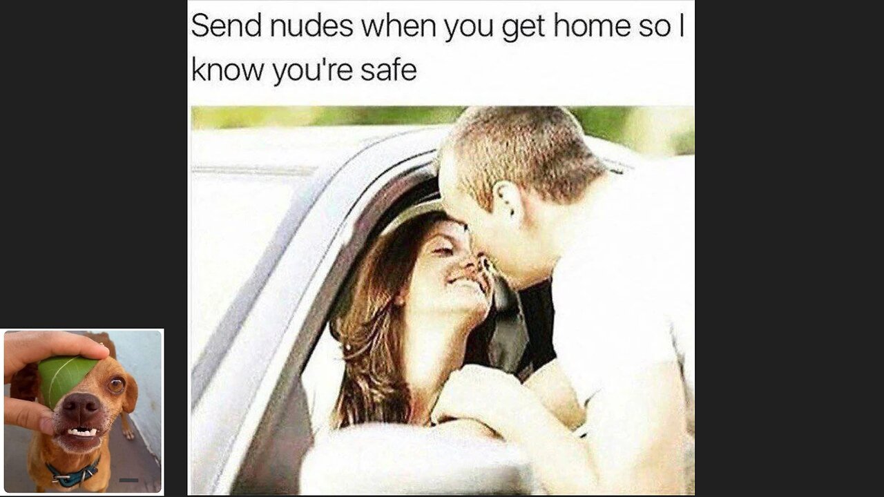 Memes That Will 99.0333% Make You Laugh. (e557)