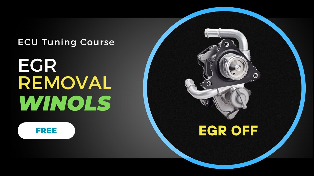 WinOLS EGR Removal Guide For EDC16 ECU