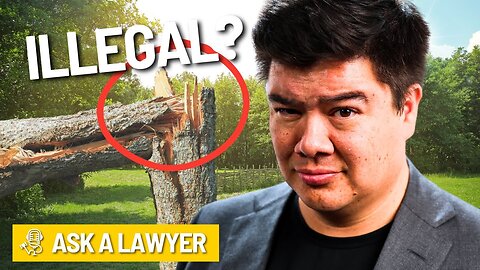 Can You Cut Your Neighbor's Trees!? | Ask A Lawyer