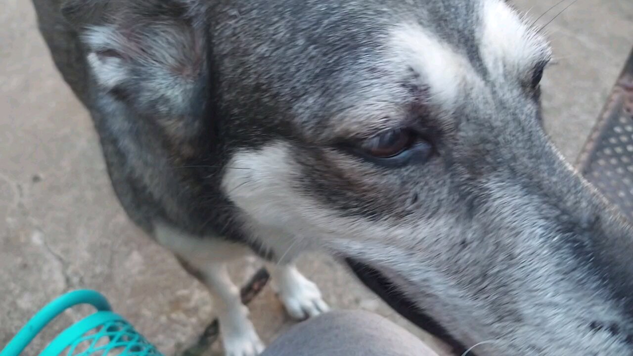 Eddie Bauer Sport Chronograph Wristwatch.