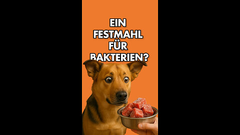 🐶Ein Festmahl für Bakterien?