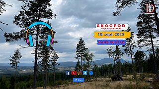 Skogpod 10. september 2025