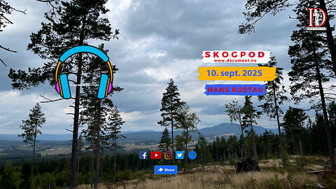 Skogpod 10. september 2025