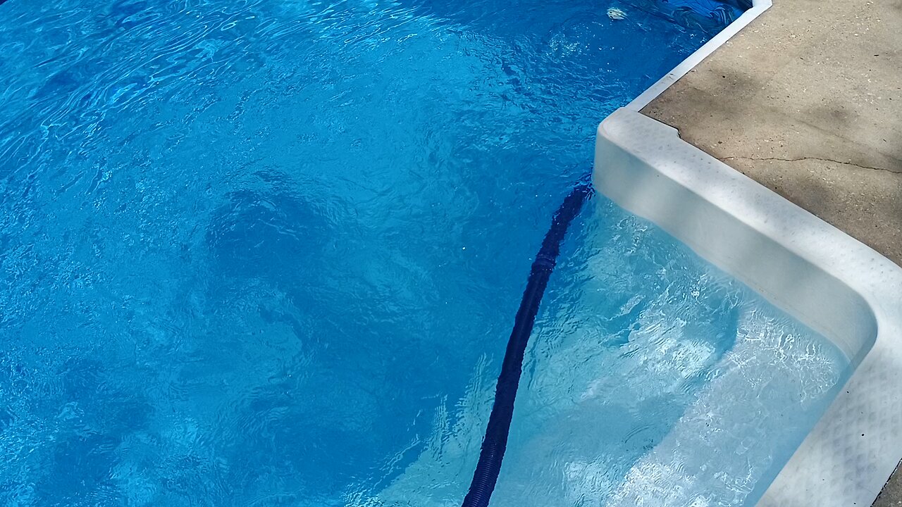 Brian's pool service cheap cleaner test