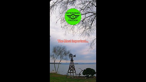 The Most Important...