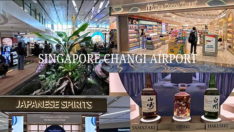 Singapore Changi T1 Tour & Scoot Flight Experience to India | Luxury Shops & Inflight Review