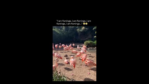 “When Life Gives You Funny Mood | Ultimate Meme Shorts” #FunnyMemes #MemeShorts #ViralVideo