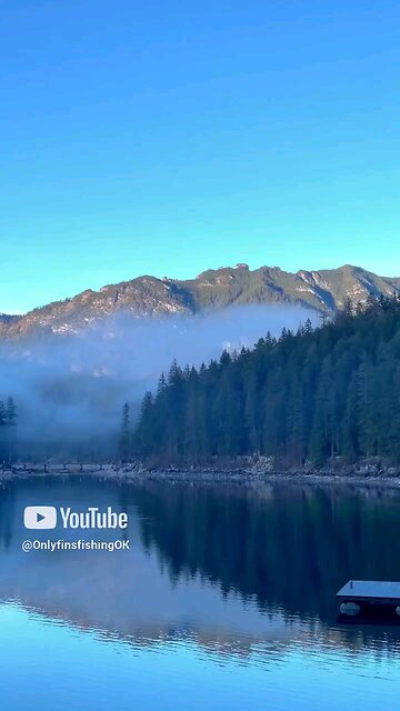 Is the Gilly Swimmer lure your next BIG fishing weapon?