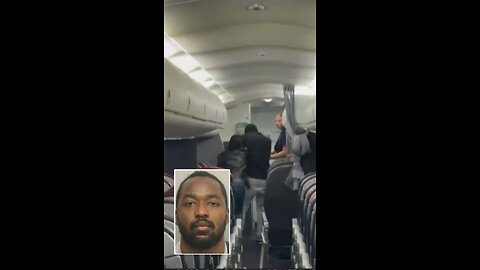 稱被惡魔跟蹤的海地裔乘客狂毆空姐