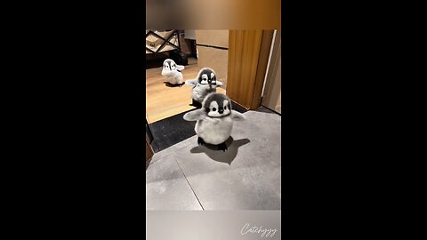 Adorable Little Birds Spreading Joy 🐦✨
