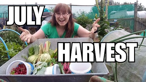Highland Allotment Harvest: & Mystery Plant Reveal!