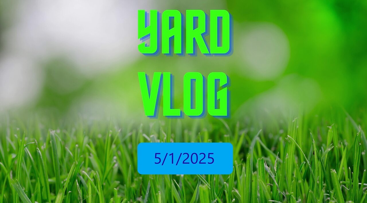 Yard Vlog 5/1/2025