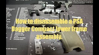 PSA Dagger Compact FDE 9mm pistol - complete disassembly frame, rails, trigger, & fire control parts