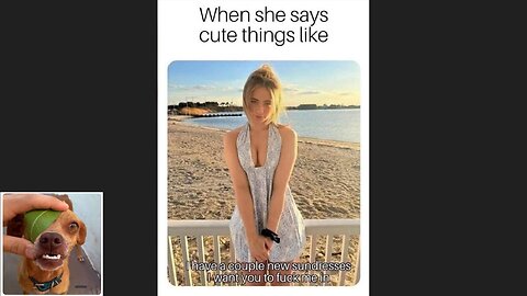 Memes That Will 99.0297% Make You Laugh. (e521)