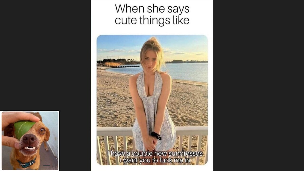 Memes That Will 99.0297% Make You Laugh. (e521)