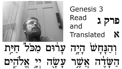 Bible Genesis Chapter 3 Translated Verse-by-Verse Hebrew to English