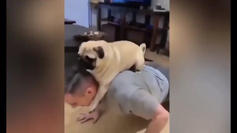 Hilarious Dog Helps Owner Get Fit! 🤣