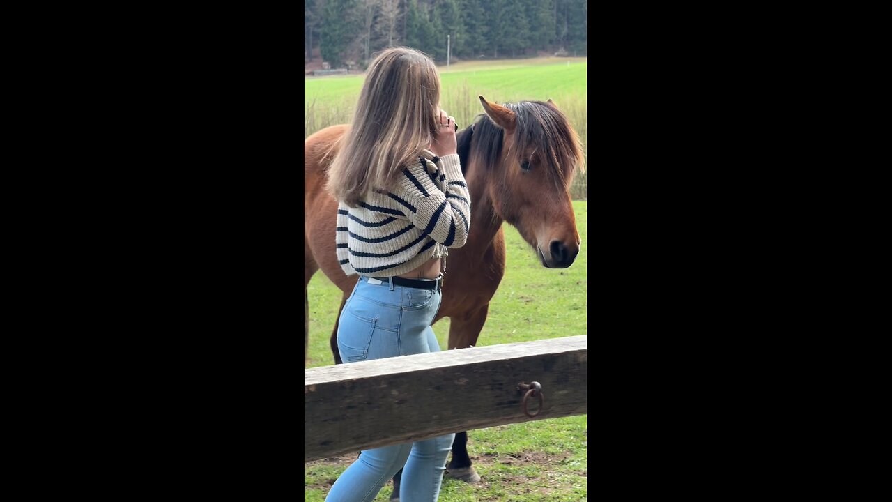 horse riding 🏎️