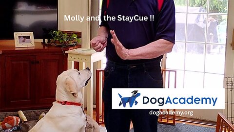 Molly's Lesson Three