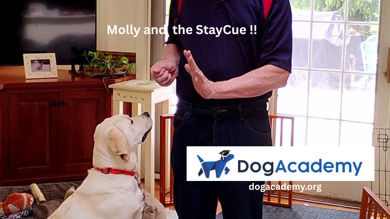 Molly's Lesson Three