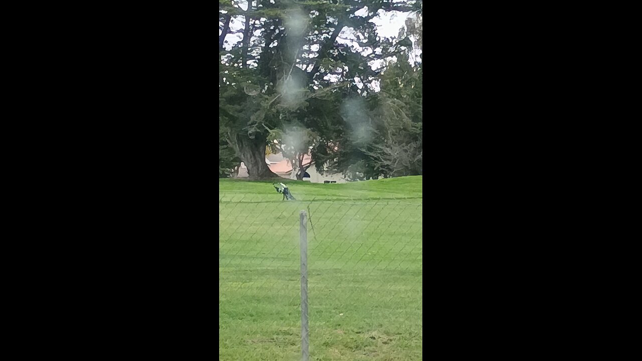 draconian and robot golfers 👽🦎🤖👾