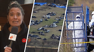 Massacre d’autruches en Colombie-Britannique : que s’est-il passé ?