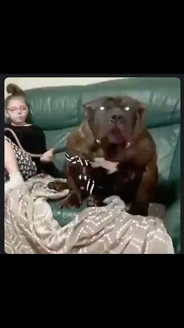 What a cute video. A little girl and her doggy. 🐕