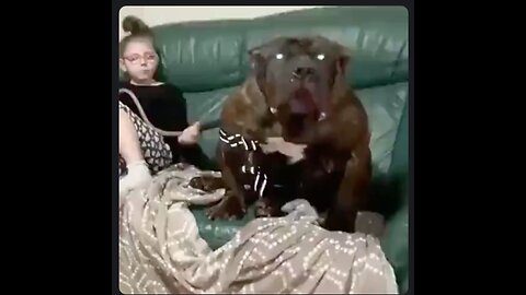 What a cute video. A little girl and her doggy. 🐕