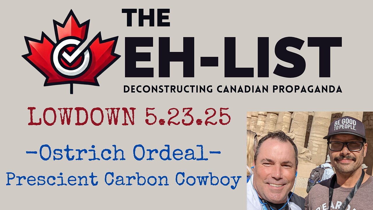 Eh List Lowdown 5.20.25 Mental Maid, Be All That You Can't Be