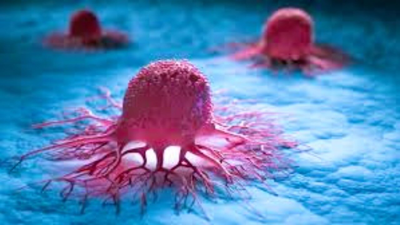 Dr Diana Wright and Dr Ardis Discussion Cancer Truth and Lies and Steps to Heal