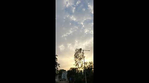 Indian natural