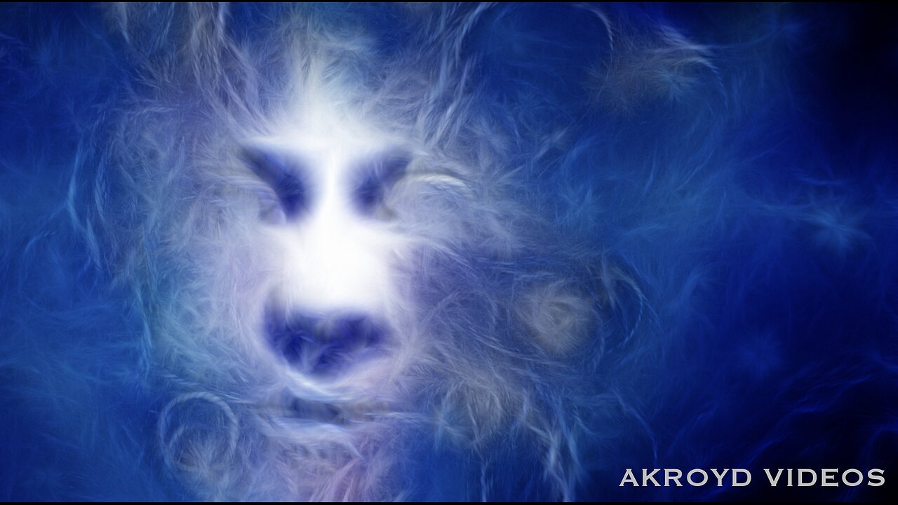 THE DEAD SOUTH - IN HELL I'LL BE GOOD COMPANY (A REQUEST BY K CRAWFORD)