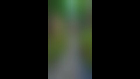 Tropical Rain Sounds asmr