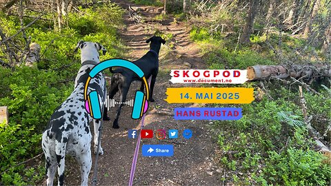 Skogpod 14. mai 2025